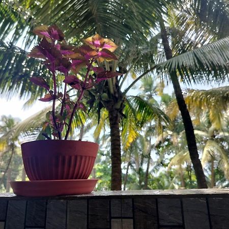 Kumbaya Beachside Hostel & Apartments At Arambol Beach 外观 照片