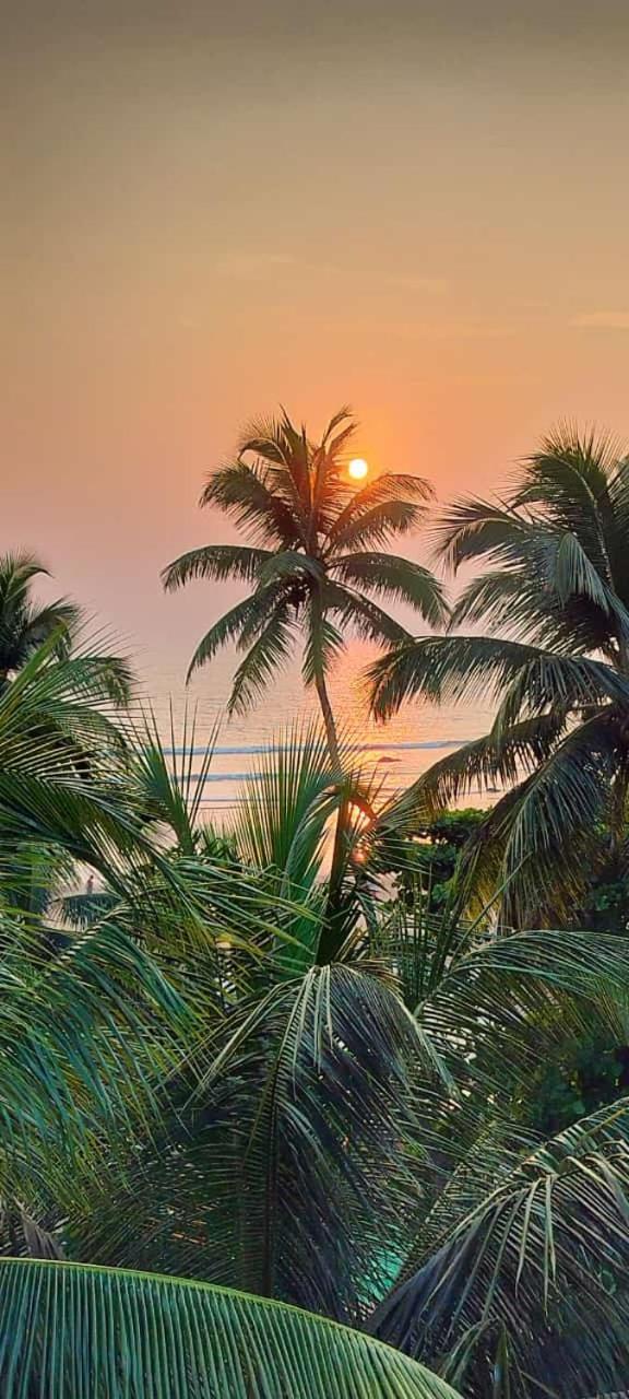 Kumbaya Beachside Hostel & Apartments At Arambol Beach 外观 照片